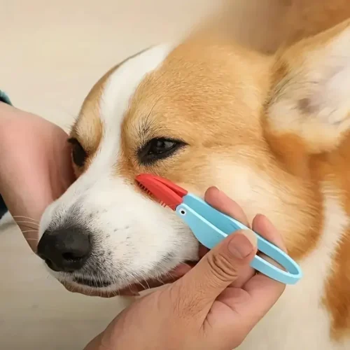 Pet Eye Comb /Brush & Tear Stain Remover