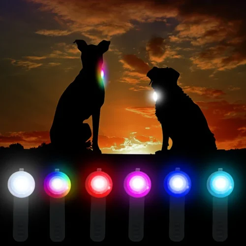 Led Safety Dog Collar Pendant With Rechargeable USB